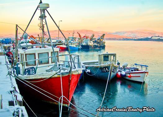 Doireliath Bed & Breakfast Bantry Luaran gambar