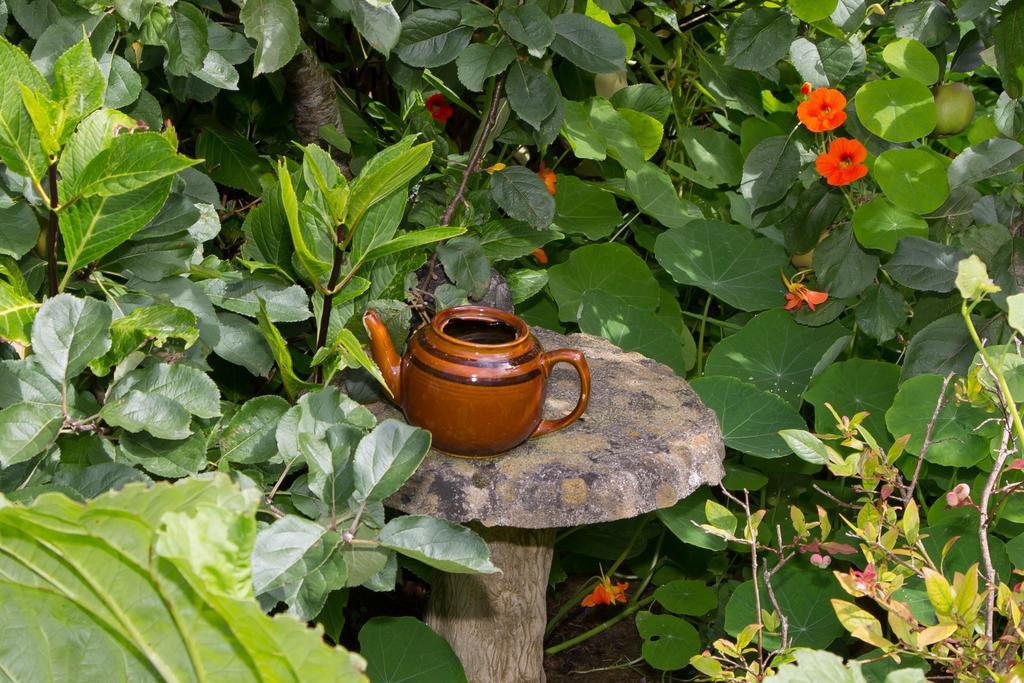 Doireliath Bed & Breakfast Bantry Luaran gambar