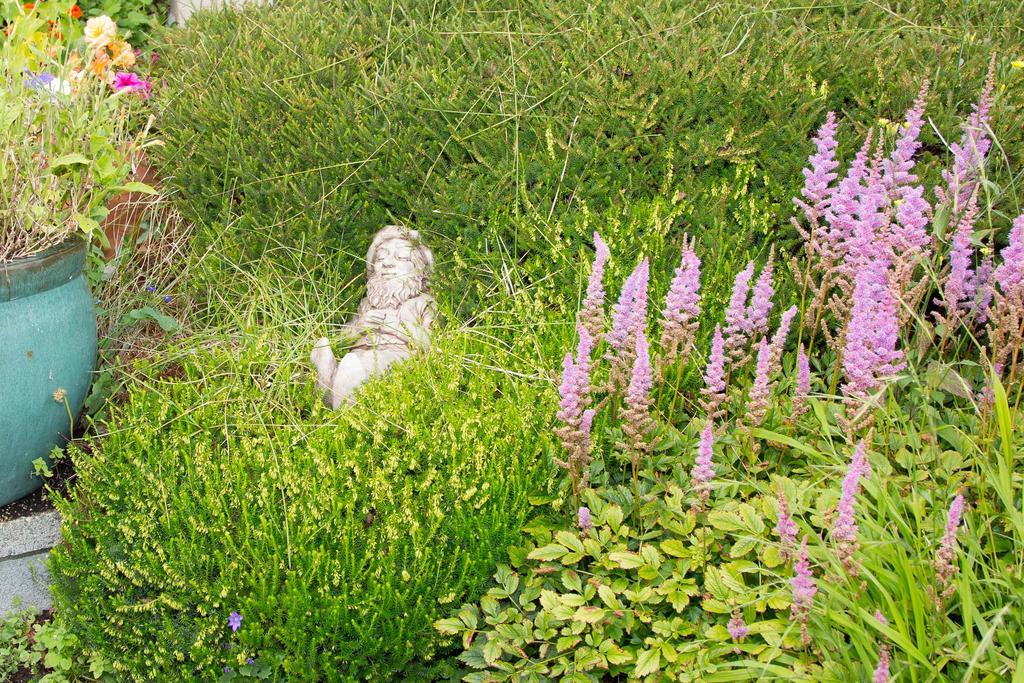 Doireliath Bed & Breakfast Bantry Luaran gambar