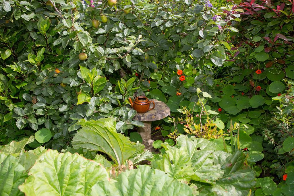 Doireliath Bed & Breakfast Bantry Luaran gambar